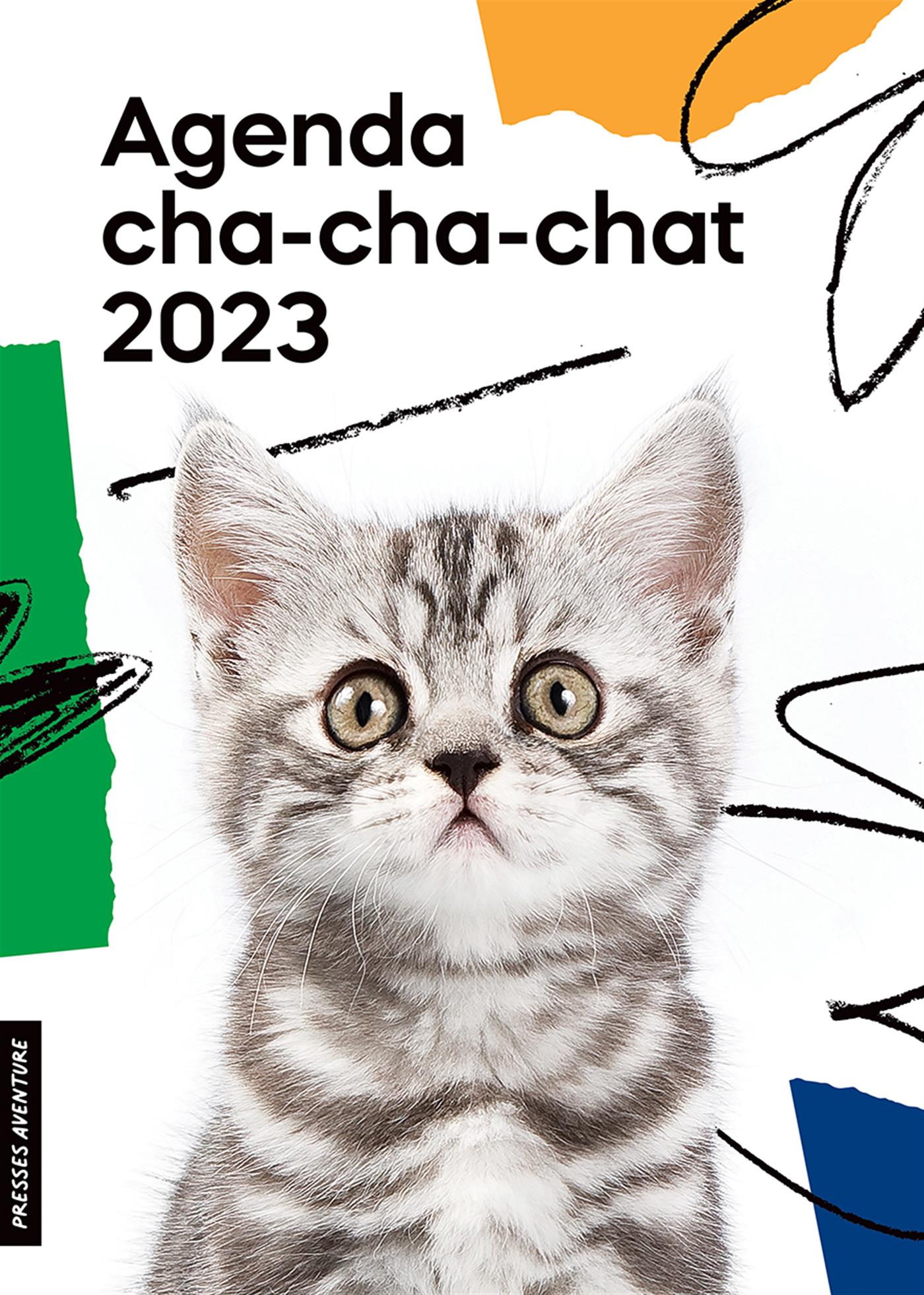 Agenda - Calendrier Drôles de chats 2024 by Collectif